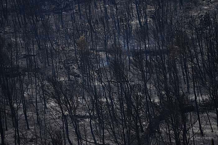 Brandweerlieden vechten om de heerschappij van het grootste natuurbrand van Frankrijk te voorkomen als bewoners naar huis terugkeren