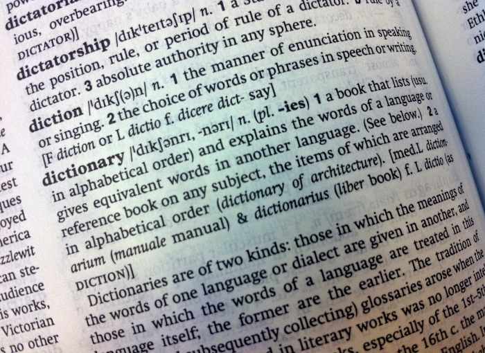 Cambridge Dictionary voegt 'Skibidi' en 'Tradewife' toe onder 6.000 nieuwe woorden