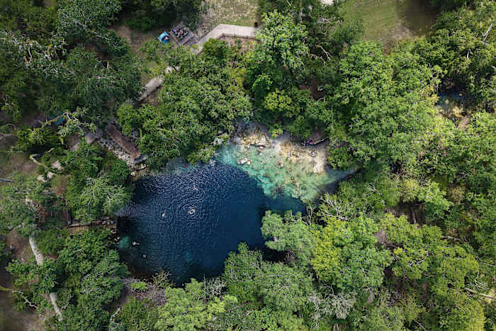 Florida's ooit-Pristine Springs bedreigd door vervuiling, ontwikkeling en klimaatverandering