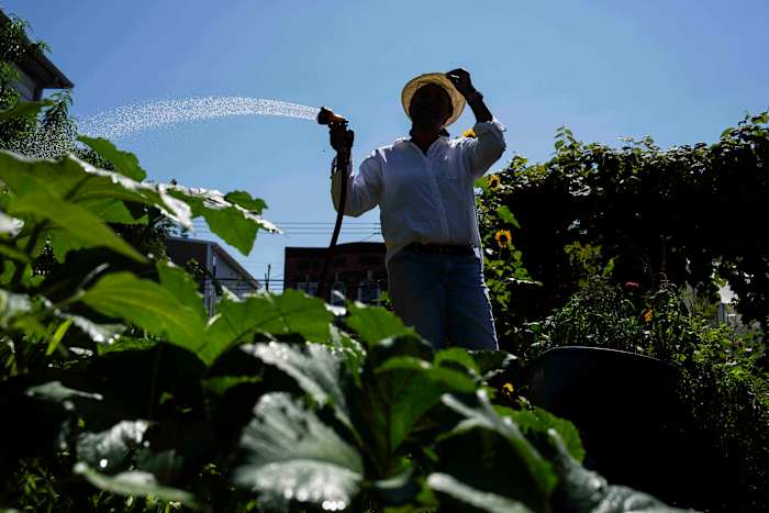 Groene ruimtes zijn de sleutel tot het bestrijden van recordwarmte in gemarginaliseerde gemeenschappen