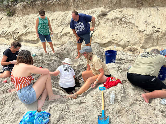 Orkaan Erin raakte nooit land of veroorzaakte grote schade, maar bedreigde schildpaddennesten hadden niet zo geluk