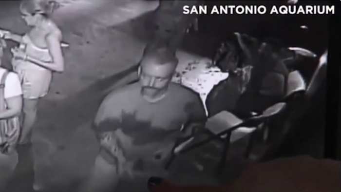 San Antonio Man die in 2018 live haaiendiefstal is opgeladen nu gekoppeld aan een reeks andere misdaden