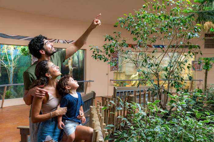 Toegang tot de San Antonio Zoo is donderdag $ 8 voor de lokale bevolking Dag