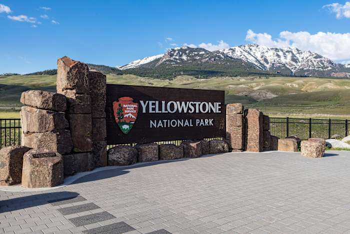 Wyoming -man aangeklaagd wegens vermeende wolf met sneeuwscooter, brengt het naar bar