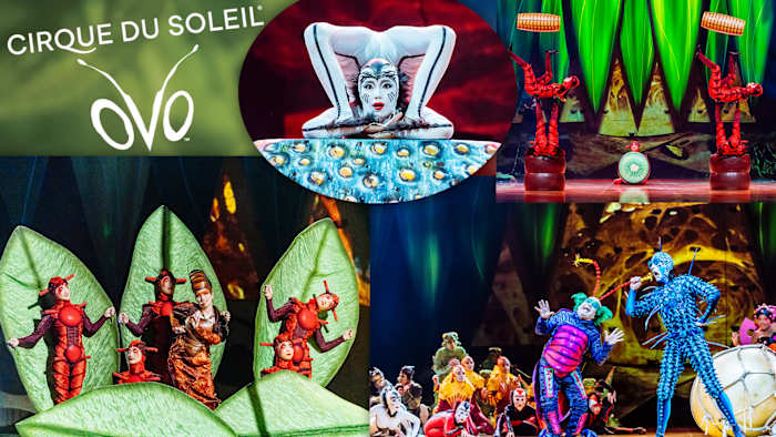 🎪 Dingen om dit weekend te doen: Cirque du Soleil, Jazz'salive, Zoo Boo