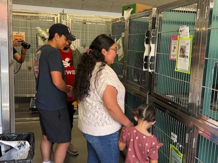 San Antonio Animal Care Services viert National Dog Week met gratis adopties voor huisdieren