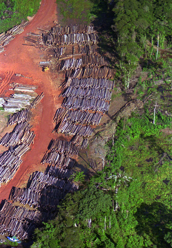 Suriname beloften om 90% van de bossen te beschermen, ver buiten het wereldwijde instandhoudingsdoel