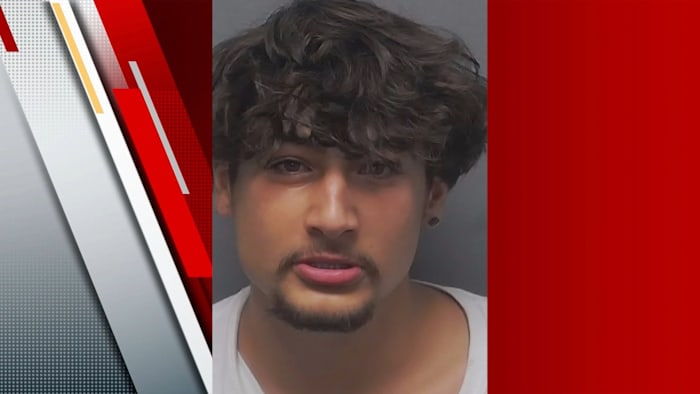 Twee mannen gearresteerd voor zware mishandeling over het geschil van Netflix Account, zegt Affidavit