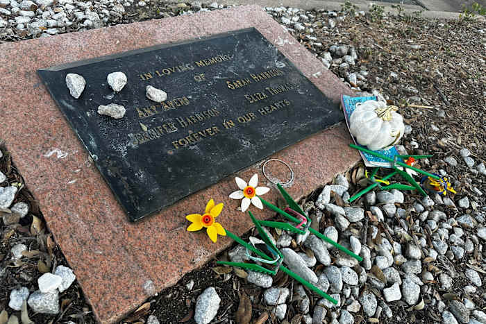 Wat te weten over de nieuwe verdachte die is geïdentificeerd in de beruchte yoghurtwinkels van Texas