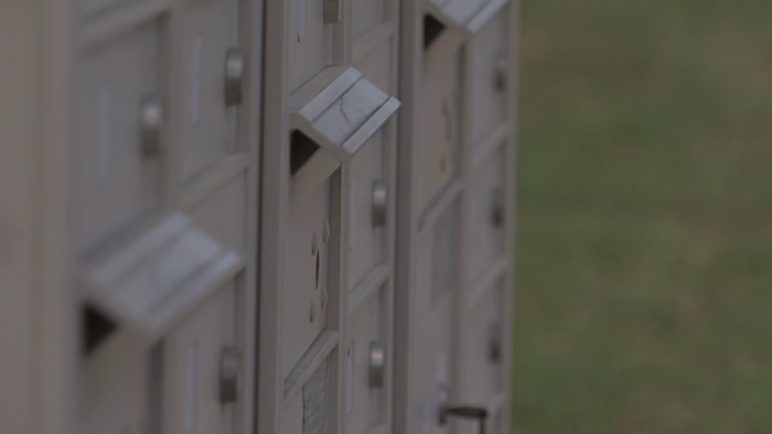 Beveiligingsbeelden ondersteunen de arrestatie door de autoriteiten van ten minste zes mensen in Bexar County, zeggen functionarissen