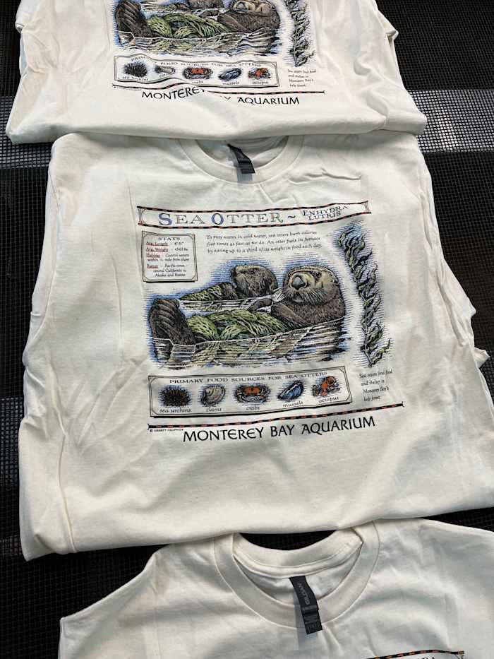 De film Easter Egg van Taylor Swift zorgt voor een meevaller van $2 miljoen voor zeeotters