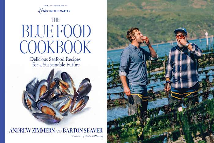 Een nieuw kookboek 'Blue Food' pleit voor vis en andere zeevruchten voor elke maaltijd