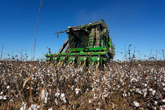 Georgia -boeren krijgen $ 531 miljoen aan orkaan Helene Aid, maar de deal is nog niet klaar