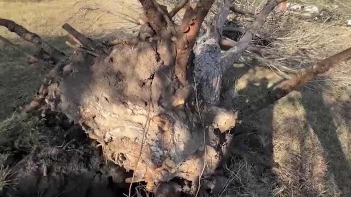 'Het blies door alles heen': Inwoners van Kendall County herstellen van de EF-1-tornado