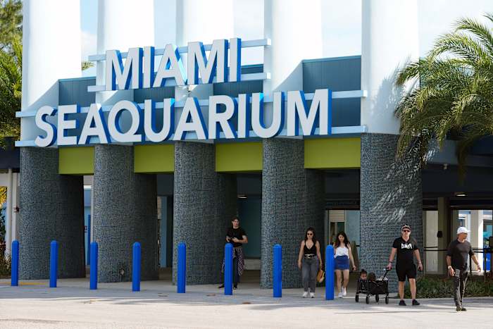 Het gekoesterde en controversiële Miami Seaquarium sluit zijn deuren