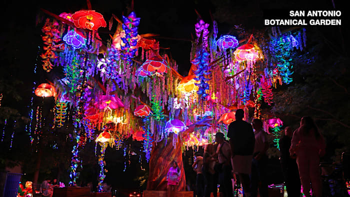 Illuminate keert terug naar San Antonio Botanical Garden in november