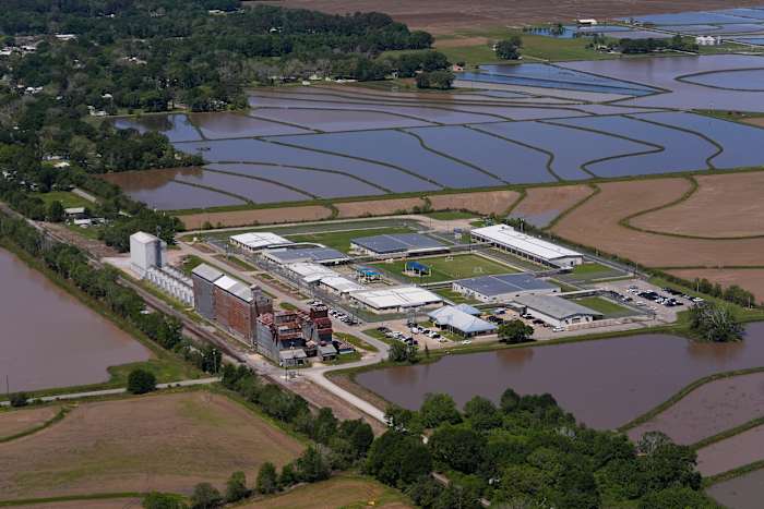 Immigrantenrechtengroep roept op tot het verwijderen van zwangere vrouwen uit detentie
