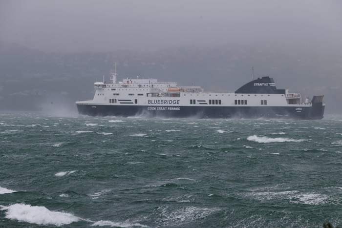Man gedood door boomtak, voetganger op weg geblazen terwijl storm over Wellington, Nieuw-Zeeland raast