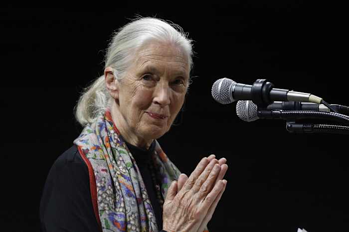 Milieuactivisten, politici, beroemdheden herinneren zich leven en invloed van primatoloog Jane Goodall
