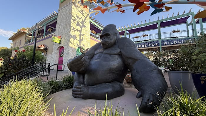 San Antonio Zoo verbetert de bezoekerservaring met nieuwe sculpturen en kunstinstallaties