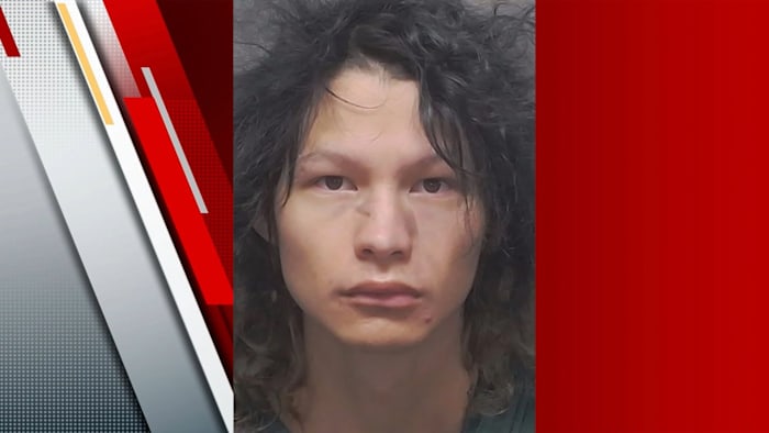 Verkeersstop leidt tot arrestatie van voormalig NISD-medewerker op beschuldiging van seksueel misbruik van kinderen, zeggen de autoriteiten