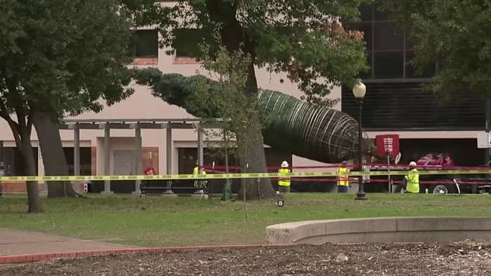 De 15 meter hoge HEB-kerstboom arriveert in Travis Park