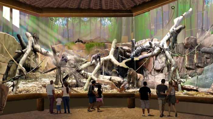 De gorilla-tentoonstelling Congo Falls in de dierentuin van San Antonio wordt in december geopend