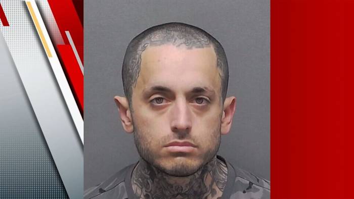 De verdachte in de kittenmoordzaak in Southwest Side is eerder gearresteerd wegens het toebrengen van schade aan een persoon, zo blijkt uit de gegevens