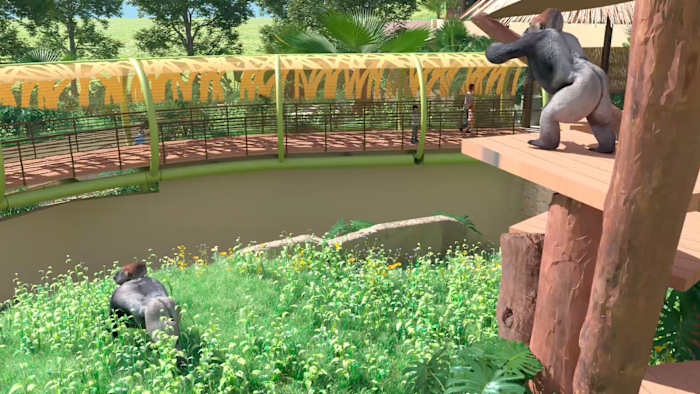 Mannelijke gorilla die naar het nieuwe leefgebied van de dierentuin van San Antonio komt, sterft onverwachts