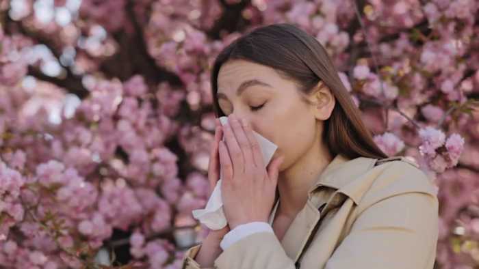 Sterke wind onderweg kan allergenen veroorzaken
