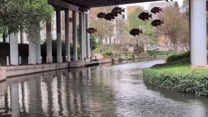 Bezoekers van de River Walk delen hun zorgen over de veiligheid terwijl de binnenstad zich voorbereidt op drukke vakantie-evenementen