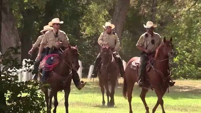 'Het is niet zomaar een dossier op je bureau': BCSO Vermiste Personen helpt gezinnen in tijden van nood
