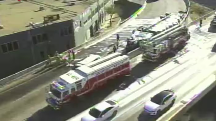 18-wieler met 'lading bijen' stort neer op Finesilver Curve, zegt SAFD; snelweg is inmiddels weer open