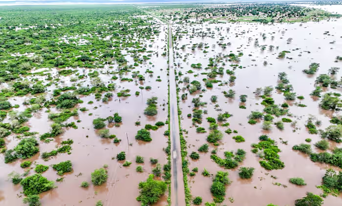 Overstromingen drijven krokodillen naar Mozambikaanse steden terwijl de gezondheidsproblemen toenemen