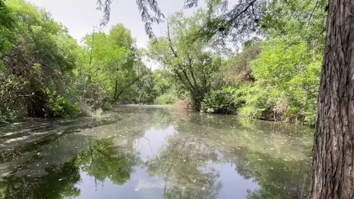 Tegenstanders van Guajolote Ranch klagen TCEQ aan en eisen intrekking van eerder goedgekeurde afvalwatervergunning