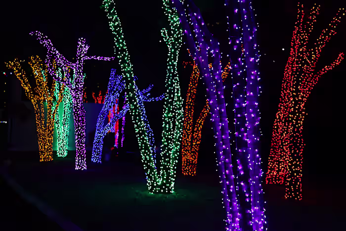 🎄Wat je dit weekend kunt doen: 'Elf The Musical', Frozen Fourth Friday, Ricos River Rally