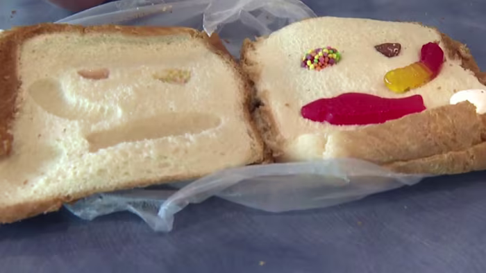 🧪Wetenschap met Sarah: Fossiele Sandwiches🦖🍞