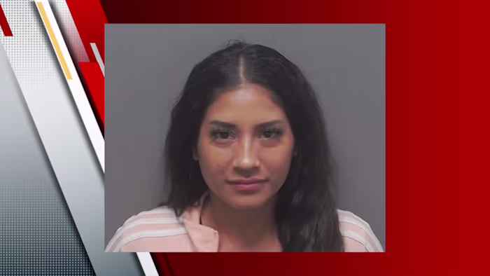 Beëdigde verklaring: Vrouw gearresteerd in verband met steekpartij tijdens voogdijuitwisseling bij YMCA aan East Side