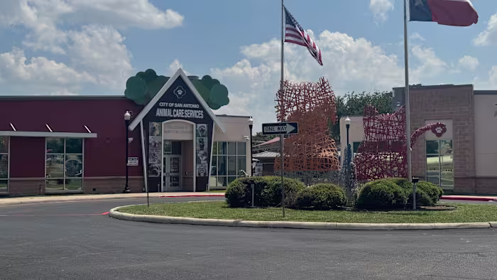 Politie doet aangifte van hond gestolen uit ACS-faciliteit