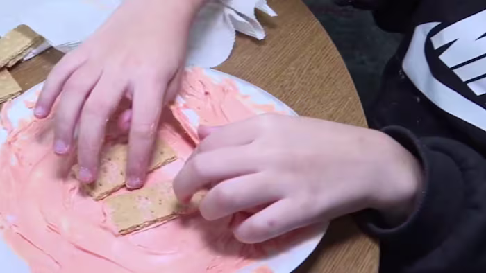 🧪 Wetenschap met Sarah: Graham Cracker Plate Tectonics 🌋