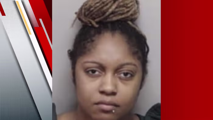 DWI-verdachte gearresteerd nadat hij op de vlucht was voor agenten, zegt het Sheriff's Office van Bexar County