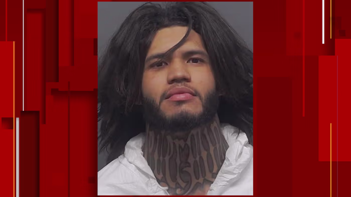 Man die is veroordeeld voor het doodsteken van zijn 81-jarige partner krijgt een gevangenisstraf van 40 jaar