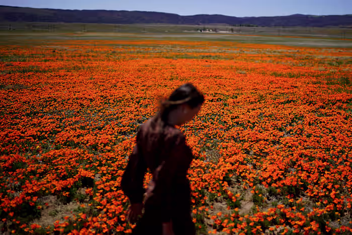 Welkom in het allergieseizoen. Hier ziet u hoe u uzelf kunt beschermen