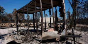 De brand in Georgië laat zien hoe klimaatverandering heeft geleid tot meer bosbranden in het Oosten