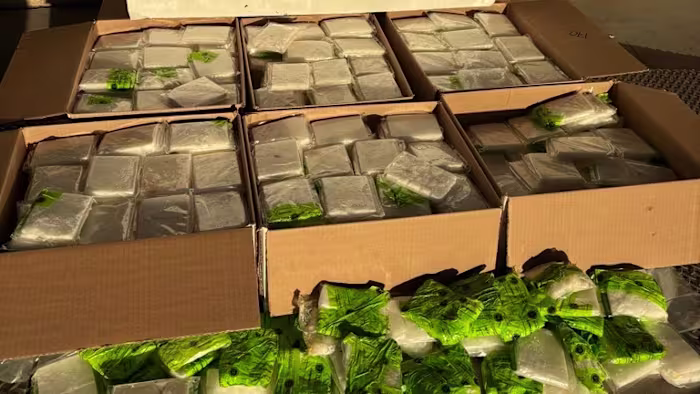 Grenspolitieagenten nemen ruim 2,6 miljoen dollar aan methamfetamine in beslag, verborgen in de verzending van wortelen