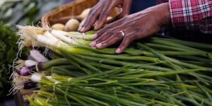 Hoe u producten bewaart, kan ervoor zorgen dat ze langer meegaan