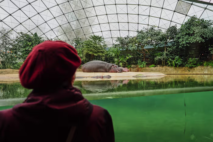 Mensen met dementie worden vaak over het hoofd gezien. Deze tour door de dierentuin van Berlijn probeert daar verandering in te brengen