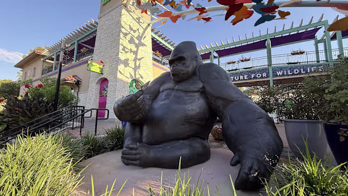 San Antonio Zoo biedt vrijdag $ 8 toegang voor Locals Day