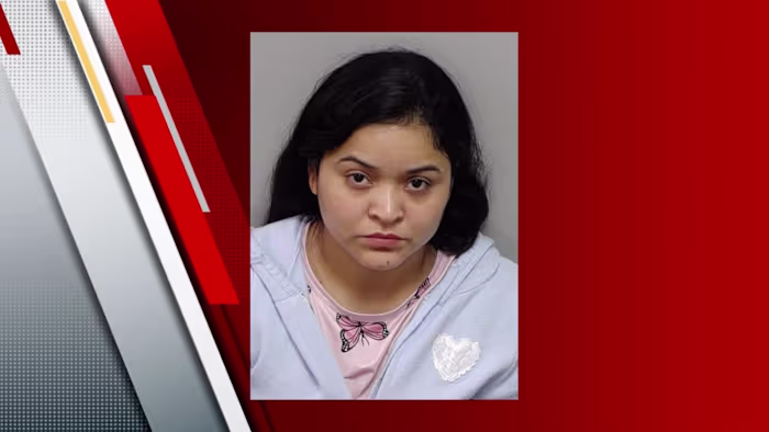 Vrouw gearresteerd in verband met diefstal van bouwmateriaal, zegt BCSO