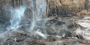 Ambtenaren in Georgië waarschuwen dat bosbranden nog steeds een bedreiging vormen, aangezien brandweerlieden vooruitgang melden